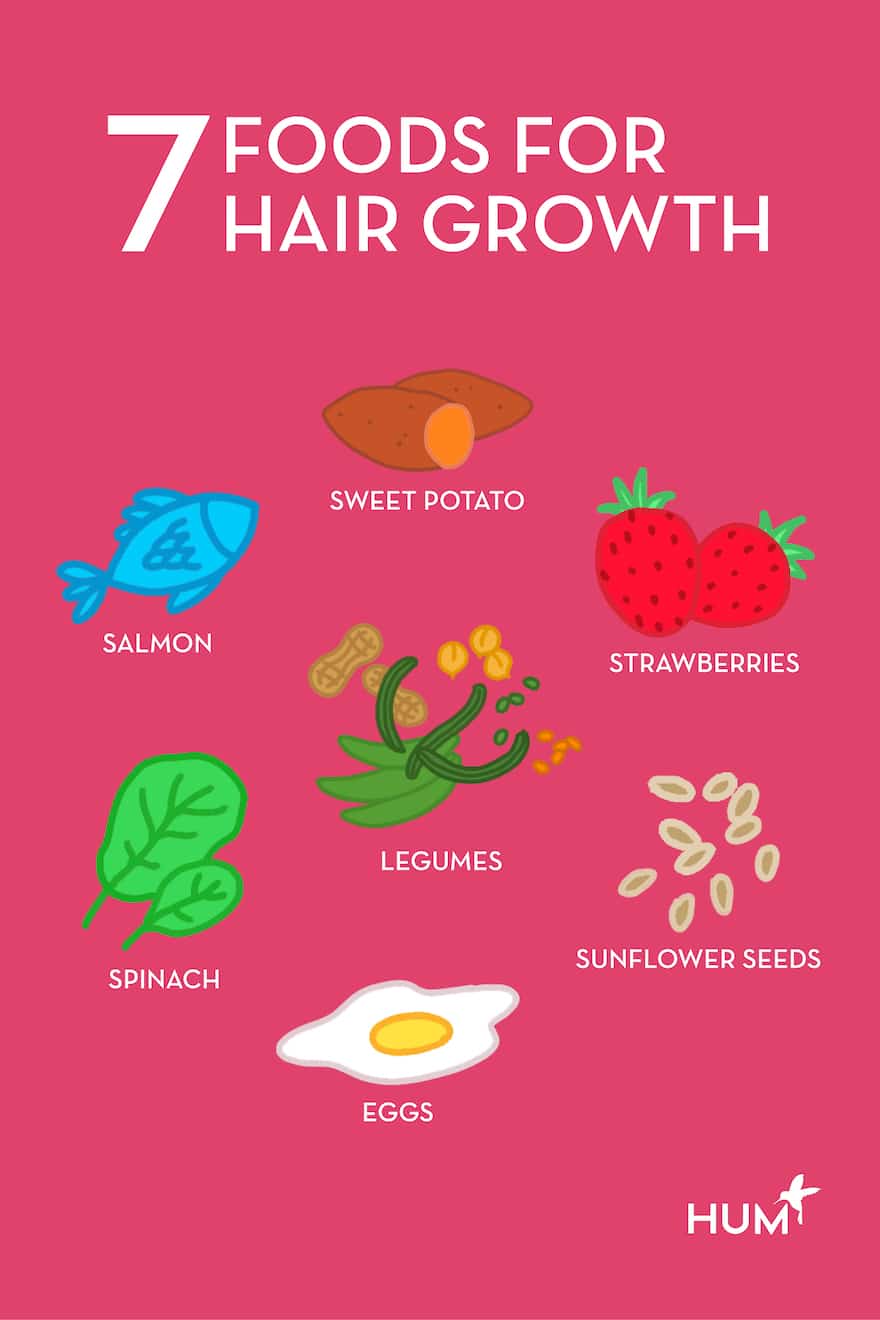 The 7 Best Foods To Eat For Hair Growth According To An Rd Hum Nutrition Blog