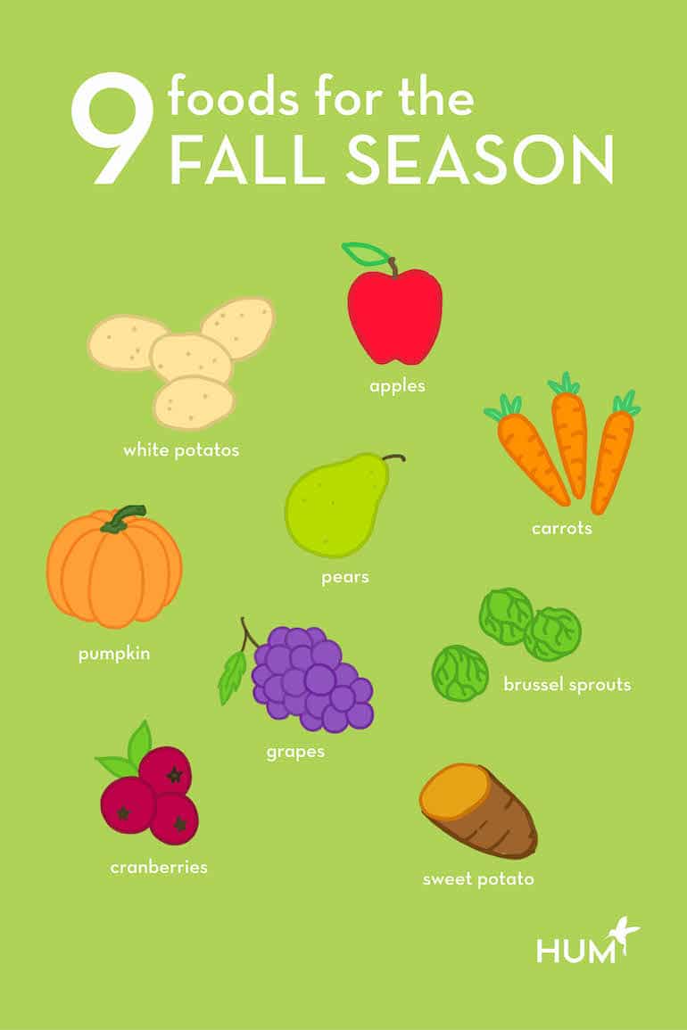 10 Healthy Fall Foods in Season A Dietitian’s Guide on What to Eat